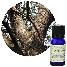 フレーバーライフ社｜Flavor Life フレーバーライフ エッセンシャルオイル シダーウッド・アトラス 10ml