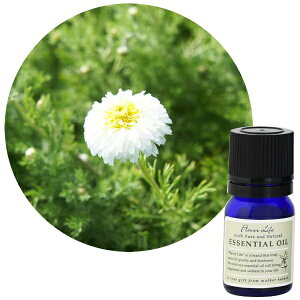 t[o[CtЁbFlavor Life t[o[Ct GbZVIC J}CE[} 3ml