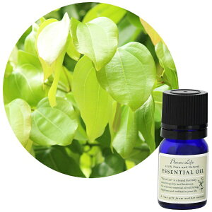 t[o[CtЁbFlavor Life t[o[Ct GbZVIC Vi[t 3ml