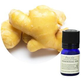 フレーバーライフ社｜Flavor Life フレーバーライフ エッセンシャルオイル ジンジャー 3ml