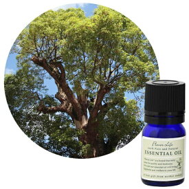 フレーバーライフ社｜Flavor Life フレーバーライフ エッセンシャルオイル ラヴィンサラ 3ml