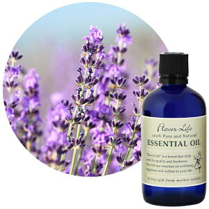 yGg[Ń|Cgő3{b12/1z t[o[CtЁbFlavor Life t[o[Ct GbZVIC x_[EtX 100ml