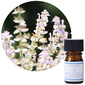 t[o[CtЁbFlavor Life NC[[ I[KjbNGbZVIC NZ[W 5ml