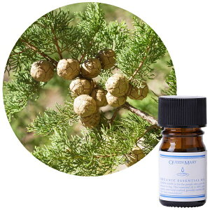 t[o[CtЁbFlavor Life NC[[ I[KjbNGbZVIC TCvX 5ml