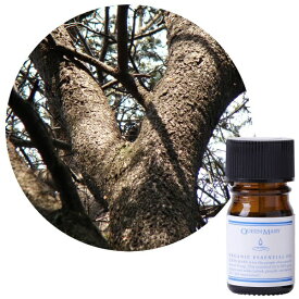 フレーバーライフ社｜Flavor Life クイーンメリー オーガニックエッセンシャルオイル シダーウッド・アトラス 5ml