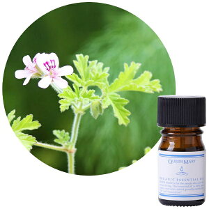 t[o[CtЁbFlavor Life NC[[ I[KjbNGbZVIC [jE 5ml