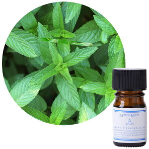 t[o[CtЁbFlavor Life NC[[ I[KjbNGbZVIC yp[~g 5ml