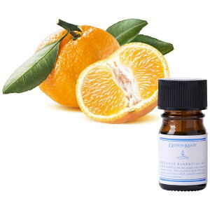 t[o[CtЁbFlavor Life NC[[ I[KjbNGbZVIC }_ 5ml