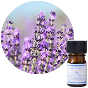 t[o[CtЁbFlavor Life NC[[ I[KjbNGbZVIC x_[igD[j5ml