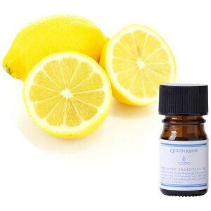 t[o[CtЁbFlavor Life NC[[ I[KjbNGbZVIC  5ml