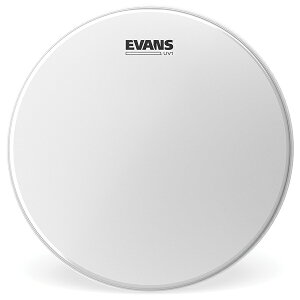 Evans�b�G���@���X �h�����w�b�h B12UV1
