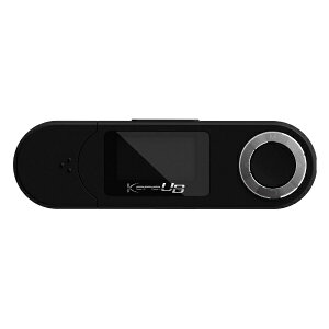 GREEN HOUSEbO[nEX fW^I[fBIv[[ KANA UB ubN GH-KANAUBS16-BK [16GB]