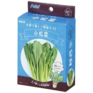 A[ebNbArtec ƂŊy͔|Lbg  102934