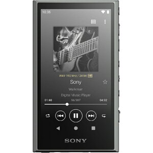 SONYb\j[ EH[N}WALKMAN2023Nf O[ NW-A307 HC [nC]Ή /64GB]