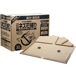 CJ ̓`[NƖp 30CJŁbIKARI