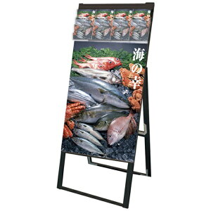 ֐HbTokiwa-Seikou ubNptbgP[XX^hŔ Ж |X^[ A1 BPCSKD-A1K