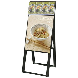 ֐HbTokiwa-Seikou ubNptbgP[XX^hŔ Ж |X^[ A2 BPCSKD-A2K