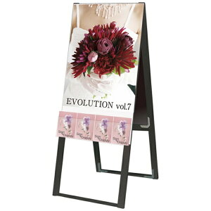 ֐HbTokiwa-Seikou ubNptbgP[XX^hŔ  |X^[ A2 BPCSKU-A2R