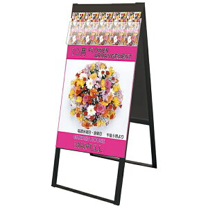 ֐HbTokiwa-Seikou ubNptbgP[XX^hŔ  |X^[ B2 BPCSKD-B2R