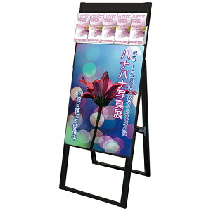 ֐HbTokiwa-Seikou ubNptbgP[XX^hŔ Ж |X^[ B2 BPCSKD-B2K