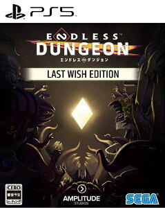 ZKbSEGA ENDLESS Dungeon Last Wish EditionyPS5z yzsz