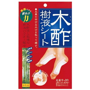 RWbgbCOGIT ؐ|tV[g8g