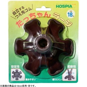 PCzXsAbHOSPIA S 񃉁[W 18mmap 