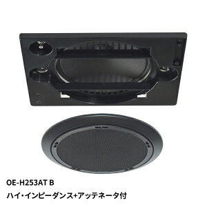 MASSIVEb}bV VXs[J[ ubN OE-H253AT(B) [1{]