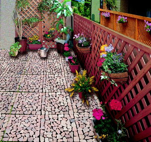 RCtbCOMOLIFE GȂȓVR΃}bg6g sN