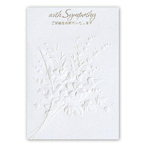 jzz[}[NbHallmark ݃J[h G{X3 EAP-817-015