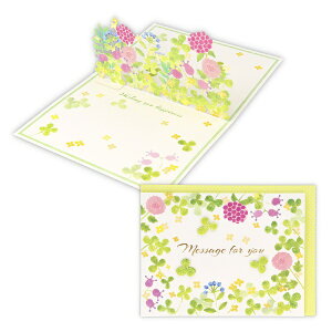 jzz[}[NbHallmark ړIJ[h@u[~ON[o[2 EAR-817-206