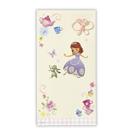 ニホンホールマーク｜Hallmark 祝儀封筒　ディズニー無地ソフィア3 EME-820-534