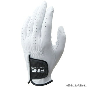 sbPING yY E蒅p(p)zStO[u rvO[u (24cm/zCg) 36897yԕisz