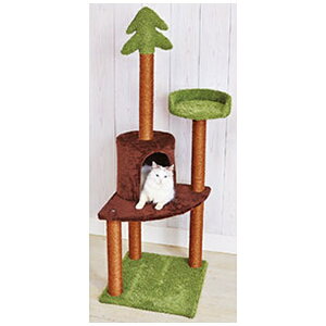 yeBIbPetio Add.MateiAhCgj˂܂ǃO[eXnC^[