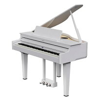 楽天市場】roland gp607-pwsの通販