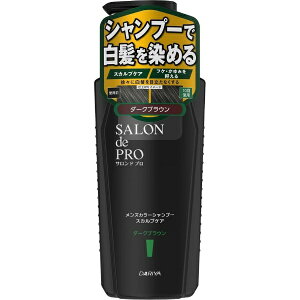 _bDARIYA SALON de PROiThvjYJ[Vv[ XJvPA 250mL _[NuE