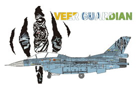 ファインモールド｜FineMolds 1/72 航空自衛隊 F-2B 戦闘機　“ヴィーア・ガーディアン23”