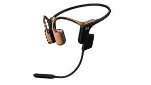 AVIOTbArIbg u[gD[XCz `Cz bronze gold WB-E1M-GL [` /BluetoothΉ]