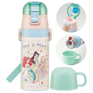 Skater�b�X�P�[�^�[ ���y��2WAY �X�e�����X�{�g�� �v�����Z�X23[420ml �����^�b�`] SKDC3