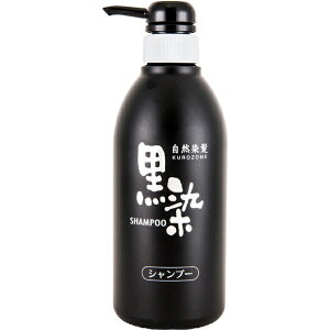 yGg[ōőSz|CgҌb9/11z ΂{܁bKUROBARA HONPO wAVv[ 500mL