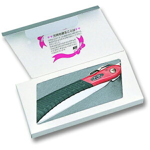 AXR[|[VbARS Mtg H쉀|P-18 GP-18