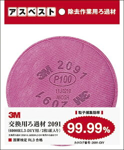 3MWpbX[GWp pߍޒ݂邵dl 2091-DIYi2j