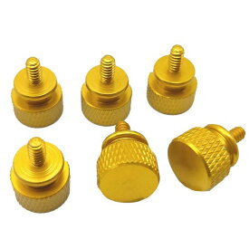 SSA｜エスエスエーサービス PCケース用 アルミ手回しネジ [6個入] ゴールド SN-003GD