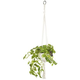 キシマ｜KISHIMA キシマ KH-61268 エクリア 消臭アーティフィシャルグリーン