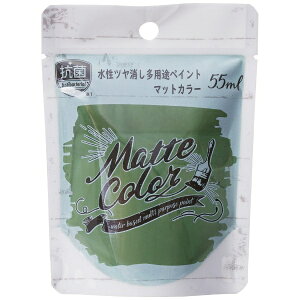 ATqybAsahipen AP pr}bg I[uO[ 55ml