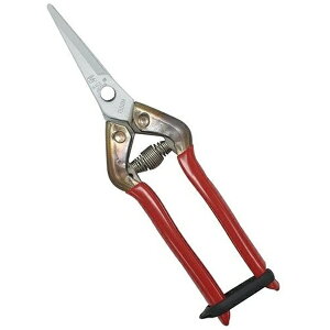 �ߐ��bCHIKAMASA �ߐ� T-55SKF �X�e�����X�R���� BP