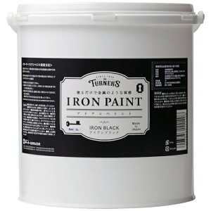 ^[i[FʁbTURNER COLOUR ACAyCg 3L ACAubN IR003009
