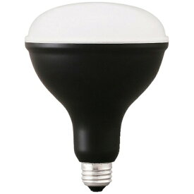 IRIS OHYAMA｜アイリスオーヤマ IRIS　574994　投光器交換電球　2000lm LDR16D-H-E