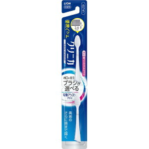 LIONbCI dAVXguV t֗p NjJADRpNg ӂ 2{