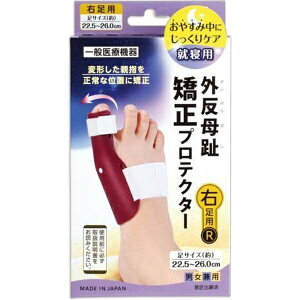 ZYPLUSbTCvX vXEH[N O䋸veN^[ EpyʈË@z